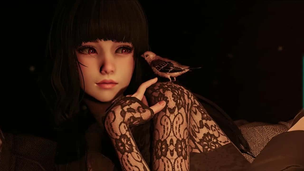视觉数据4
